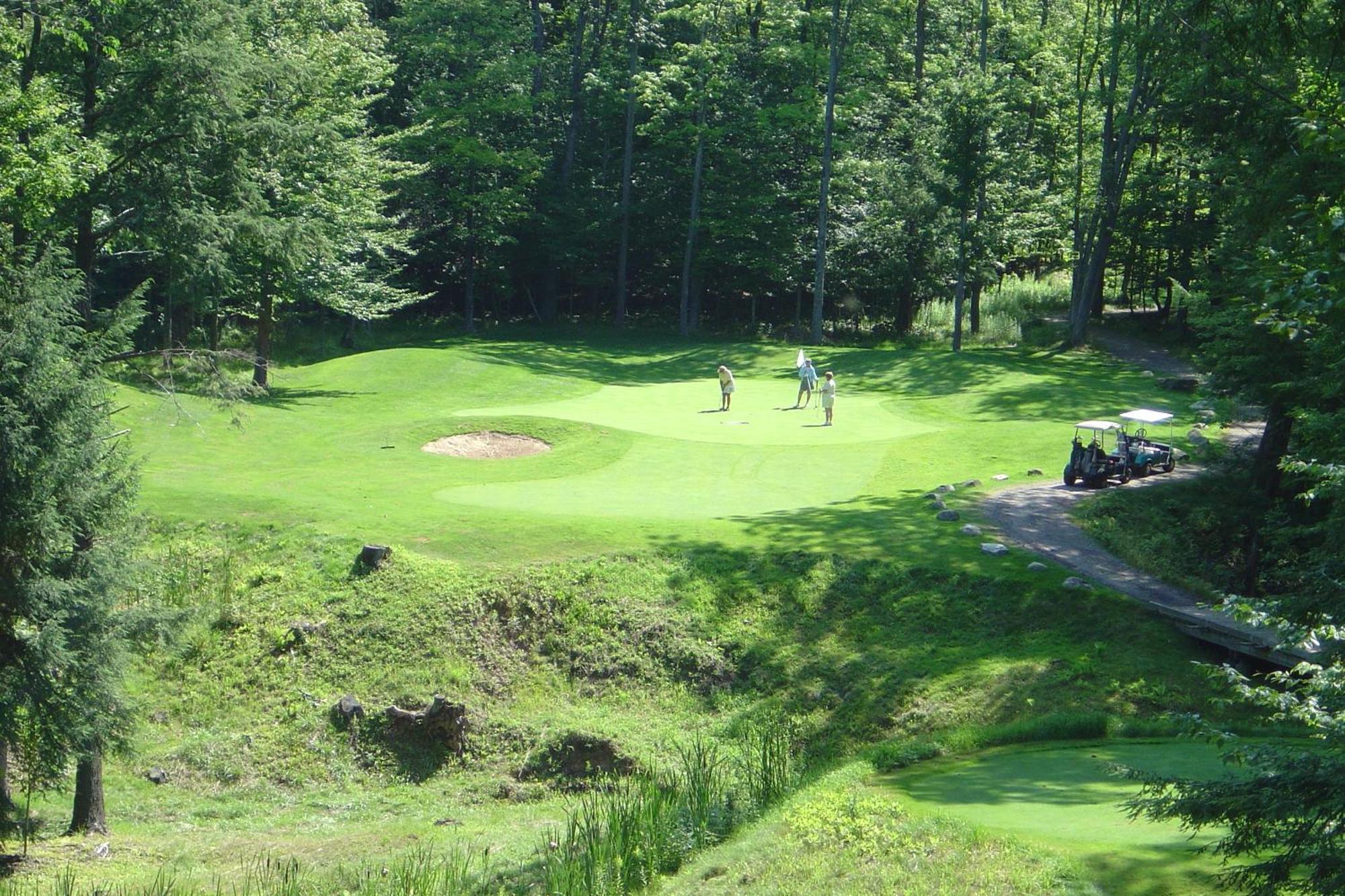 Caberfae Peaks Ski & Golf Resort Harrietta Екстериор снимка